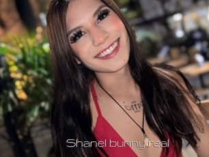 Shanel_bunny_real