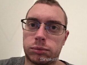 Snakefl