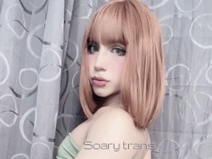 Soary_trans