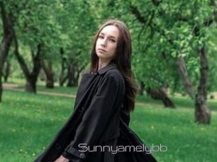 Sunnyamelybb