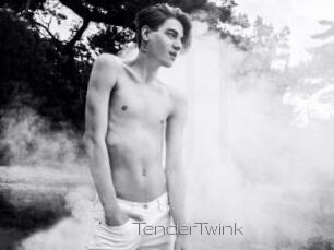 TenderTwink