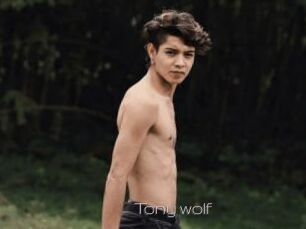 Tony_wolf