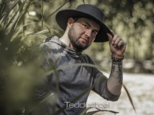 Teddysteel