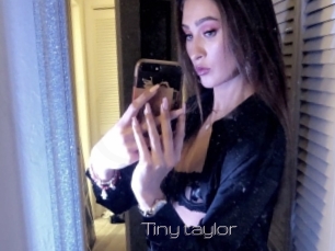 Tiny_taylor