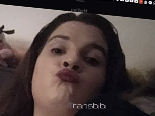 Transbibi