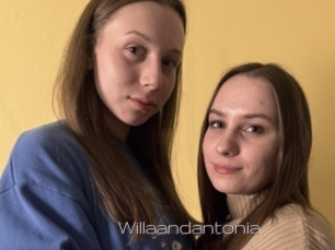 Willaandantonia